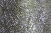 Morton fibreglass roof work